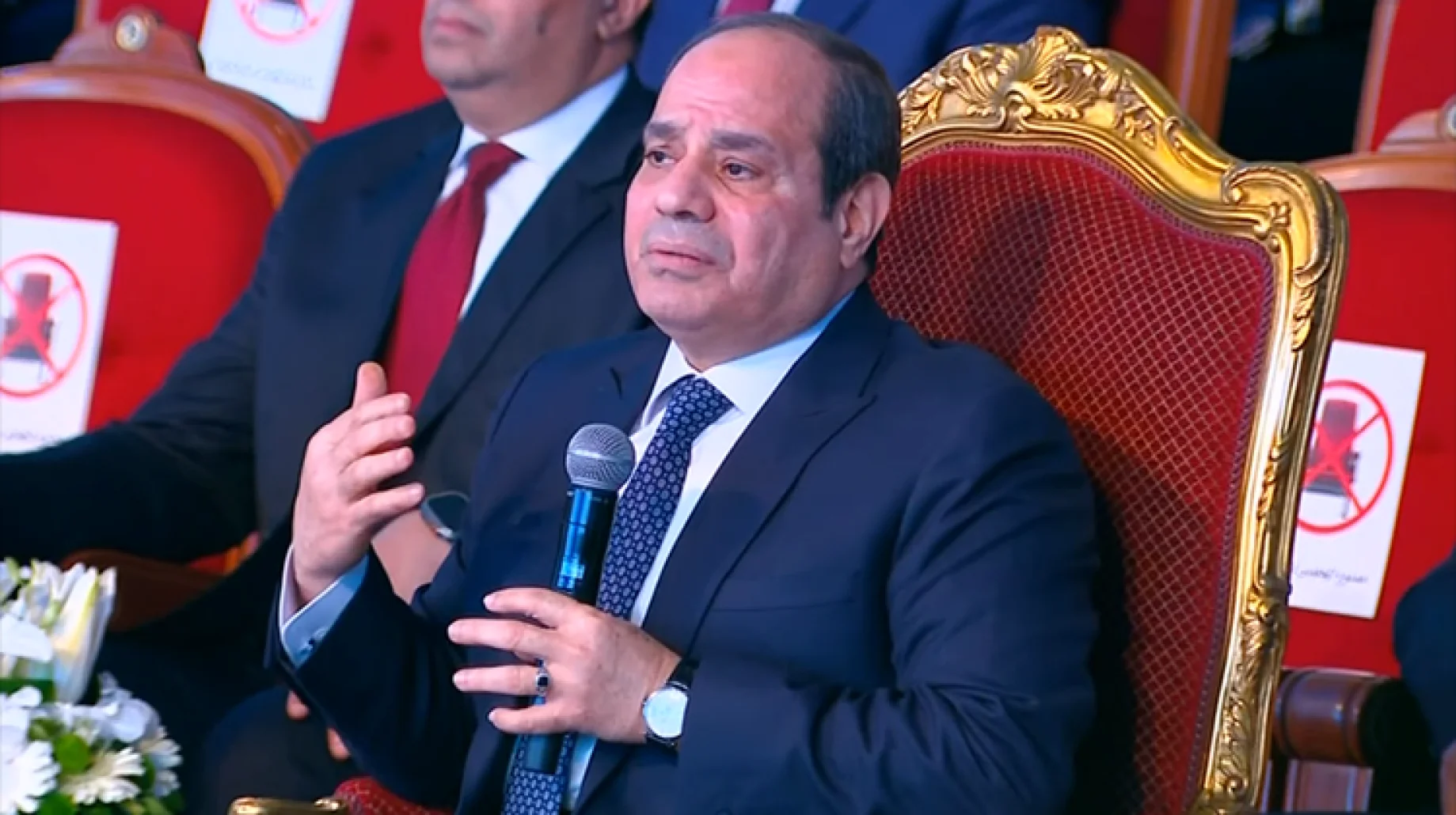 صندوق السيسي