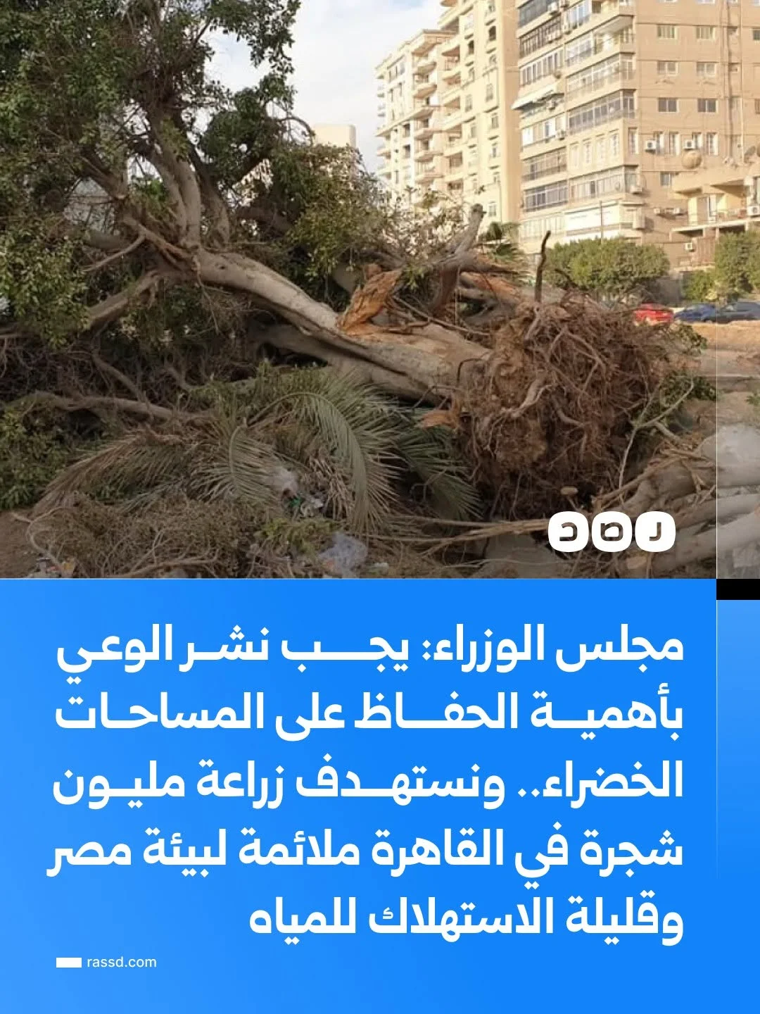 مجلس الوزراء: يجب نشر الوعي بأهمية التشجير والحفاظ على المساحات الخضراء